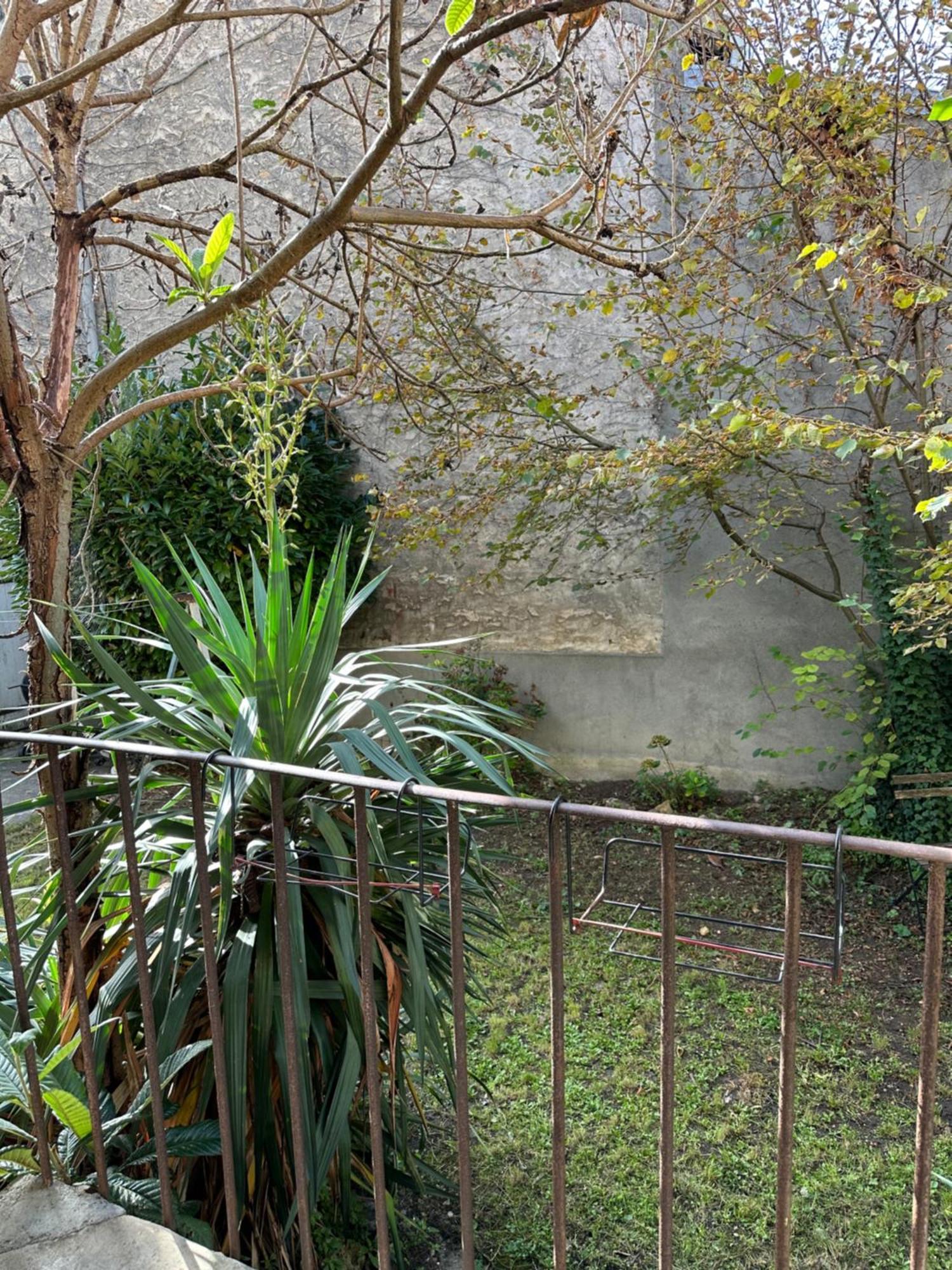 Superbe Appartement Cosy Jardin 科尔贝－埃索讷 外观 照片
